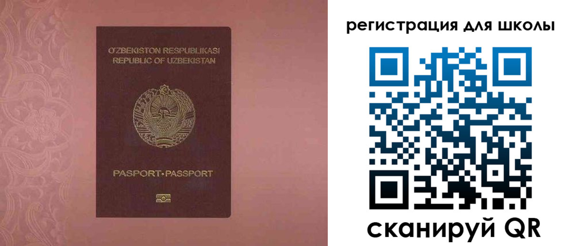 прописка для школы в Жукове