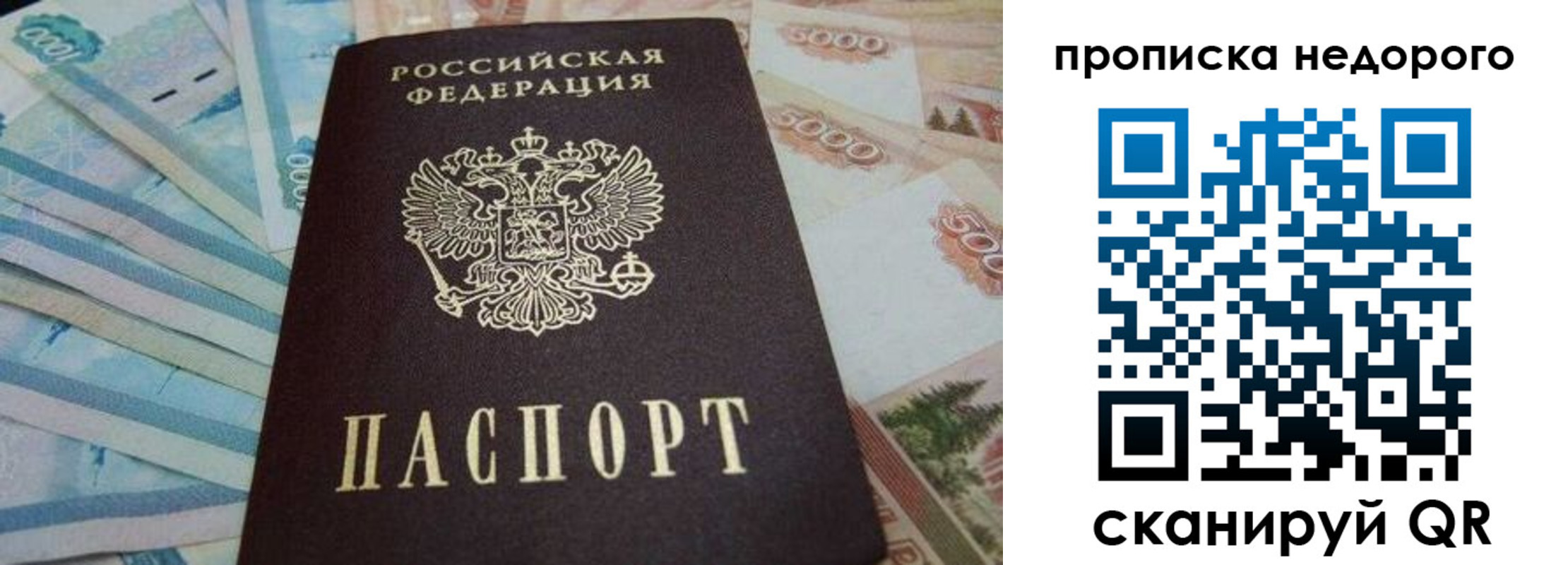 временная регистрация поиск в Жукове